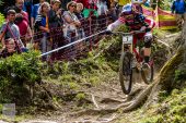 , 2014 Leogang &#8211; UCI World Cup DH Finals Results and Pictures