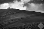 , Video: Cody Kelley Road Trips to a Freeride Mecca with Sorge and Aggy