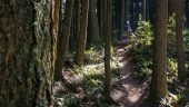 , Giromagny Enduro Team – The Wild Ride West – Vancouver Island, Bellingham, Fromme, Seymour