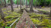 , Giromagny Enduro Team – The Wild Ride West – Vancouver Island, Bellingham, Fromme, Seymour