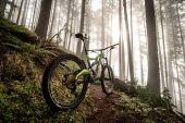 , Polygon – 2017 Square One EX8 / EX9