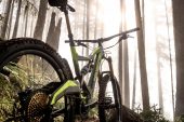 , Polygon – 2017 Square One EX8 / EX9