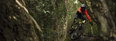 , 2017/2018  Zerode Bicycles – Taniwha Carbon Gearbox Enduro Bikes