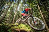 , Polygon – 2017 Square One EX8 / EX9