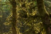 , Video: Driven featuring Brendan Fairclough