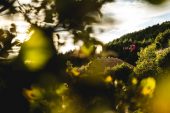 , Video: Bas Van Steenbergen – The Farm – Deity