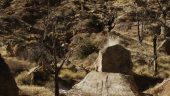 , Video: Commencal – DJ Brandt – Freedom 35