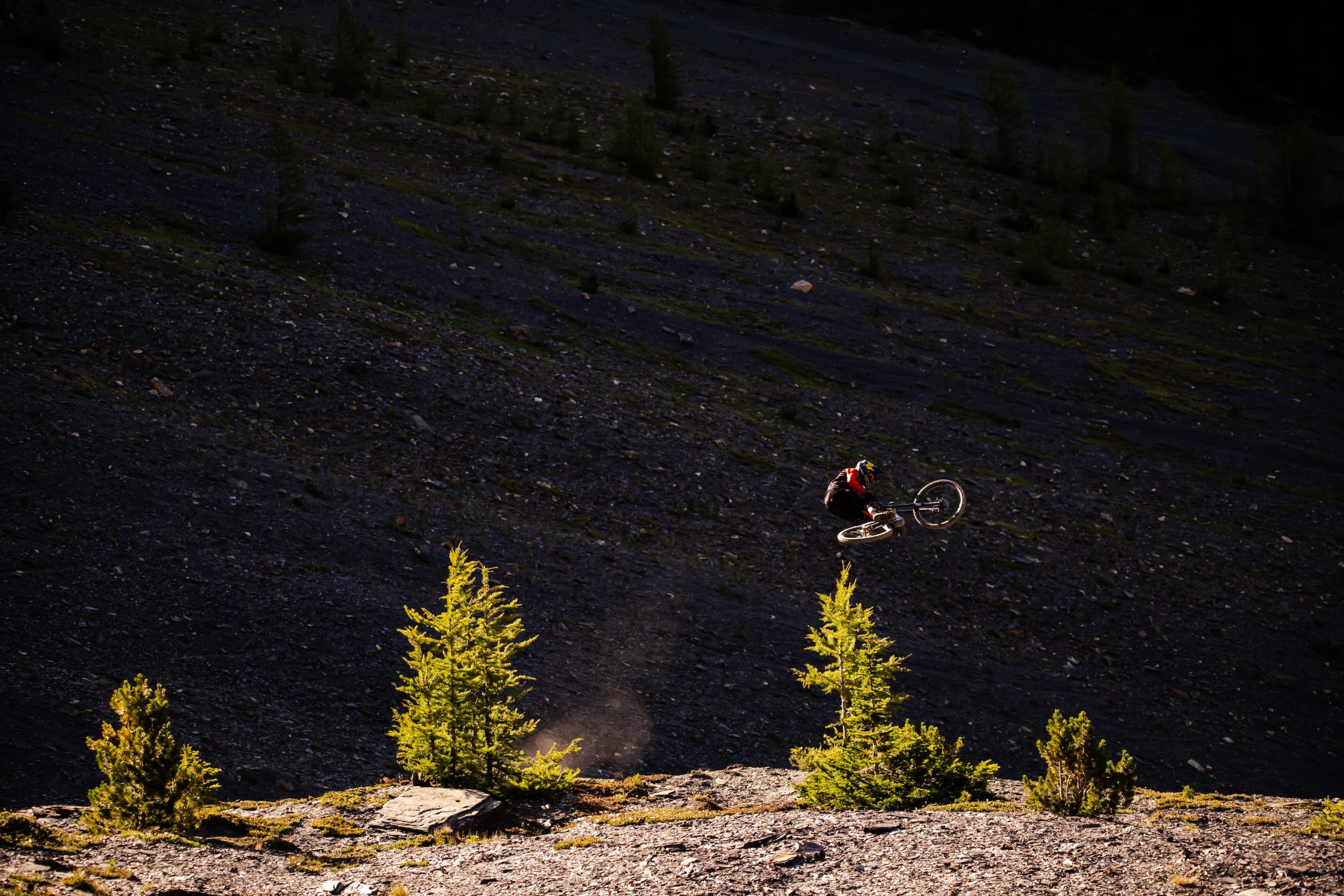 teton gravity research accomplice