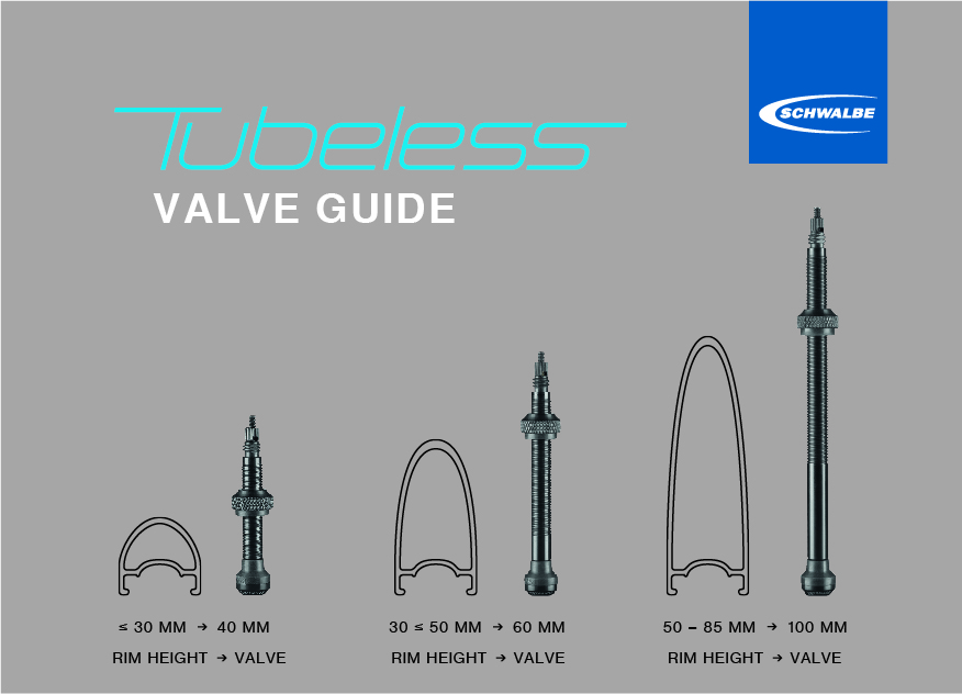 VALVE DE PNEU SCHWALBE TUBELESS 60 mm OBUS DEMONTABLE (VENDU PAR 2)