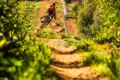, Andrew Neethling &#8211; Chasing Trail