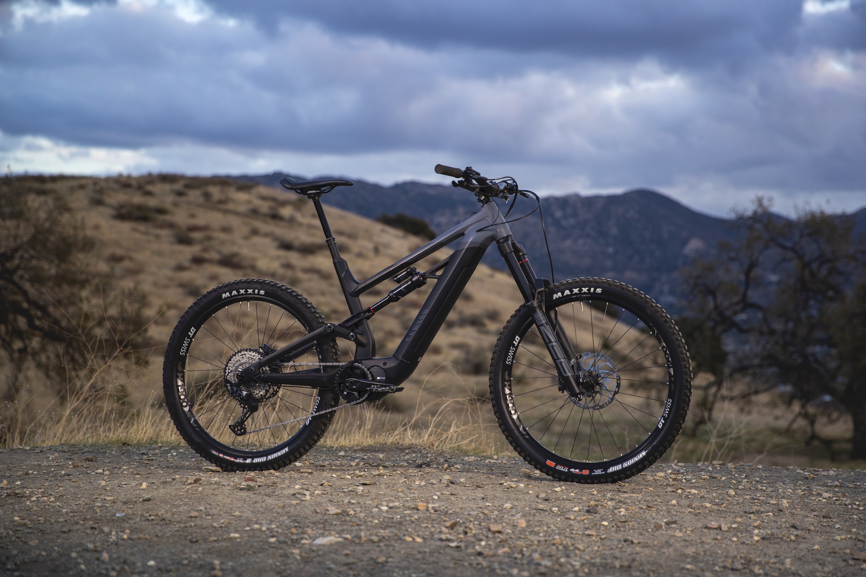 Canyon torque. Canyon Spectral CF 29 2020. Canyon Torque 2021. Canyon Torque 29. Canyon Spectral on 2021.