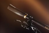 , Signature Fabio Wibmer Canyon Torque CF Released