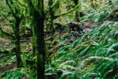 , Transition Bikes Launches New Patrol 29/27.5 Mullet