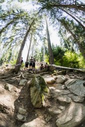 , 2021 Downhill World Championships Val Di Sole – Track Walk Pics