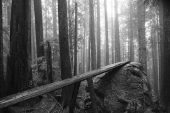 , Trail Tales – The Outlaw Sport – Vancouver North Shore