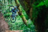, Transition Bikes Launch Aluminum Sentinel and Scout