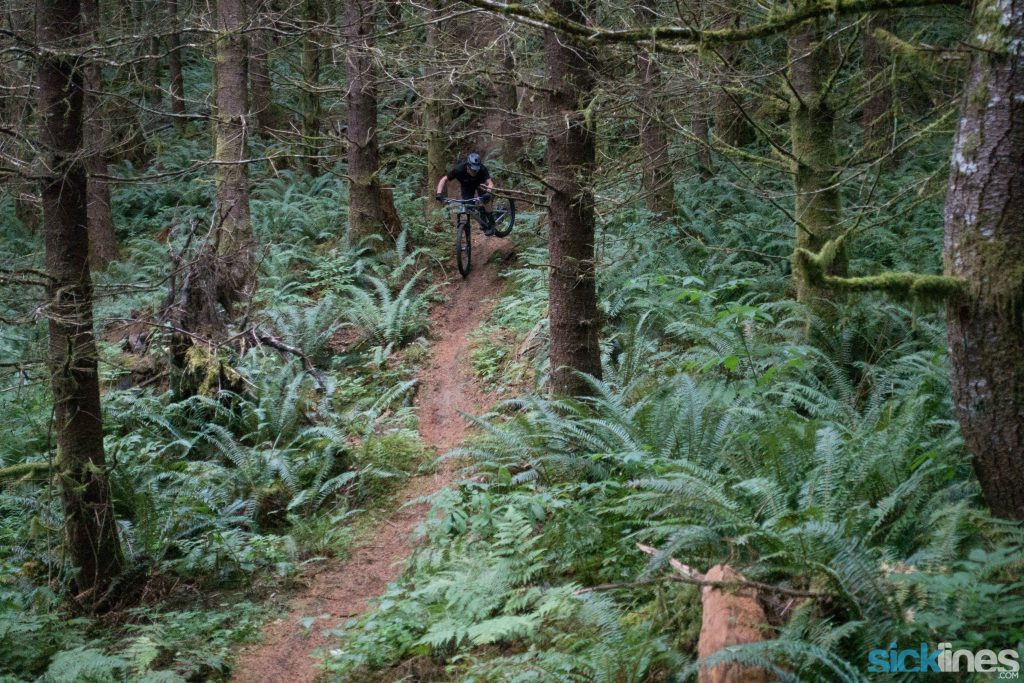 , Raaw Jibb Review