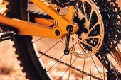 , 2022 Canyon Bikes New Torque Models CF 7 / CF8