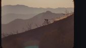 , L.A. Sucks for Mountain Biking