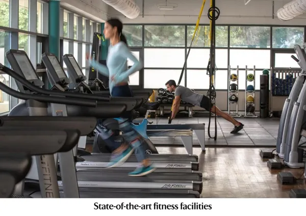 Jumeirah Creekside Hotel