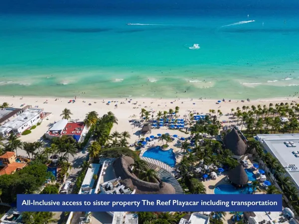 The Reef 28 – Adults Only – All Suites – Optional Gourmet All Inclusive