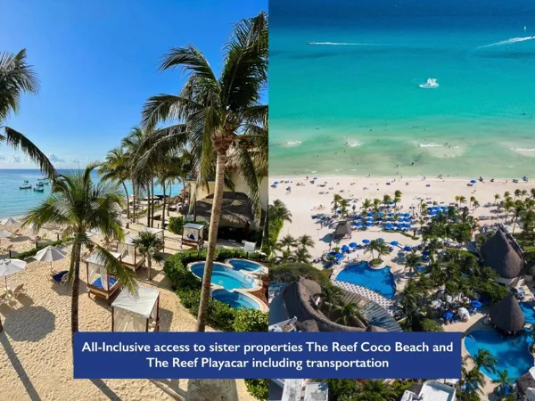 The Reef 28 – Adults Only – All Suites – Optional Gourmet All Inclusive