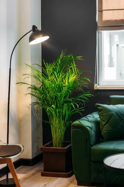 Timber Boutique Hotel