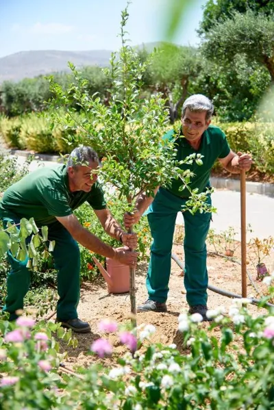 Village Heights Resort