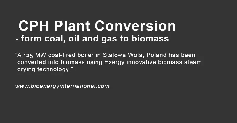 Bioenergy - CHP article