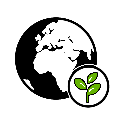Sustainable industrial process for non-wood pulp - Swedish Exergy