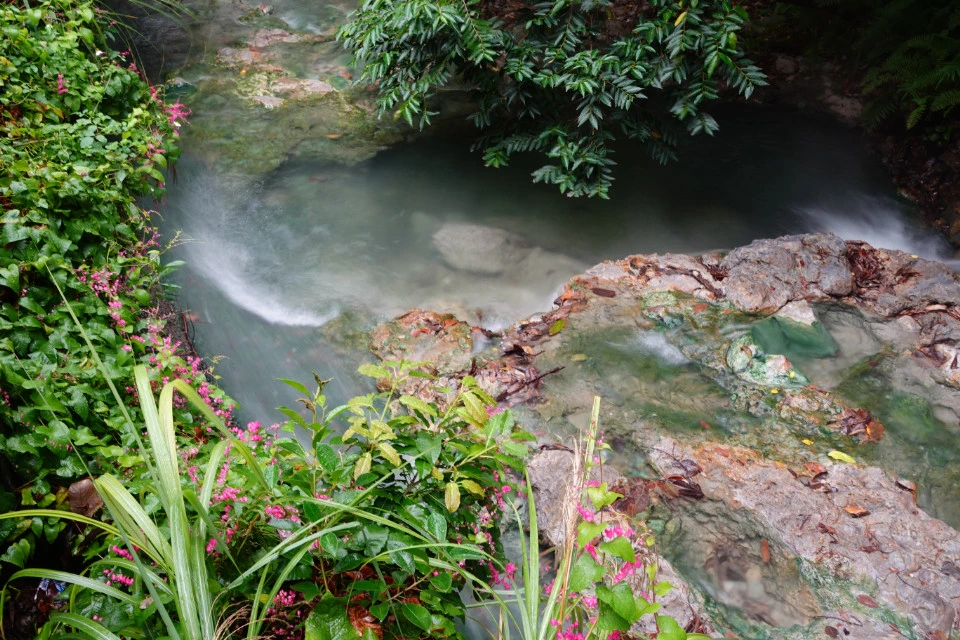 Picture 4 : Taiwan - Beitou and Yangmingshan (北投, 陽明山)