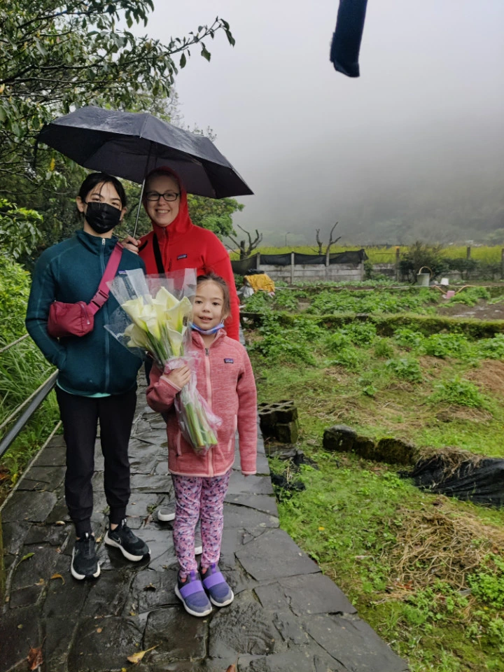 Picture 1 : Taiwan - Beitou and Yangmingshan (北投, 陽明山)