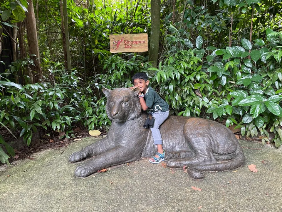 6 : Trip to Singapore - Mandai Zoo and Night Safari