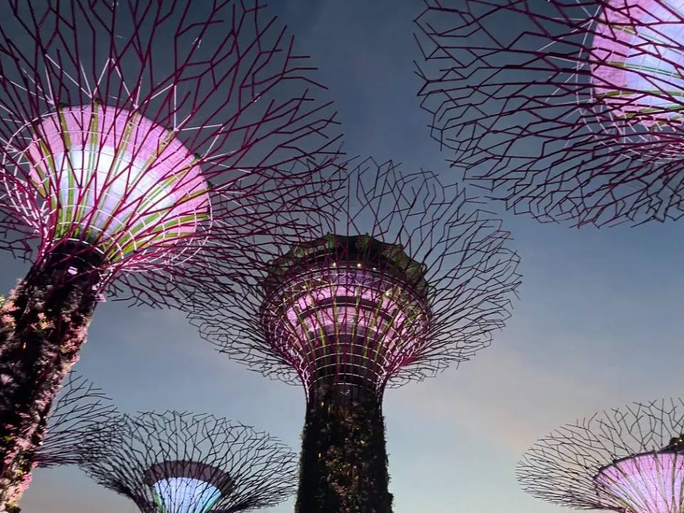 7 : Trip to Singapore - Gardens by the Bay and Marina Sands Bay