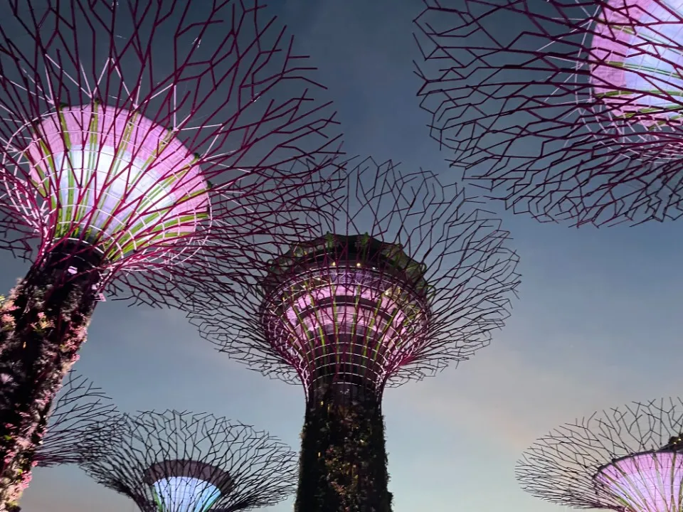 Picture 7 : Trip to Singapore - Gardens by the Bay and Marina Sands Bay