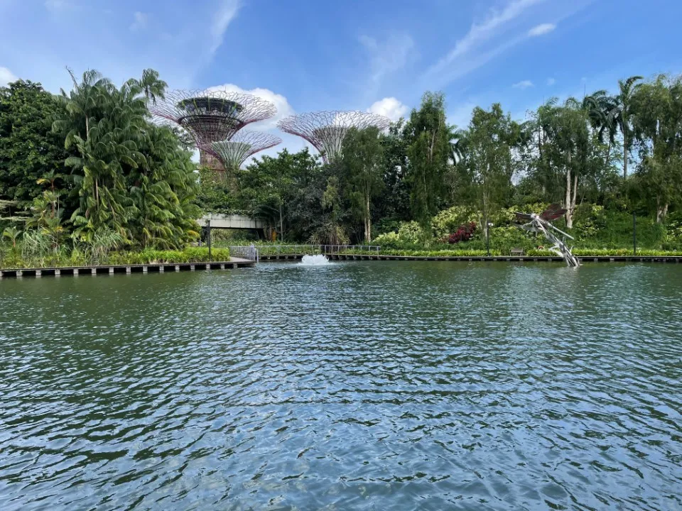 Picture 5 : Trip to Singapore - Gardens by the Bay and Marina Sands Bay