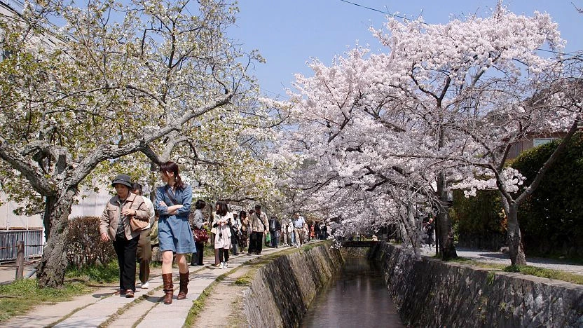 Picture 3 : 3 Days in Kyoto - Exploring Kyoto's Historical and Natural Beauty