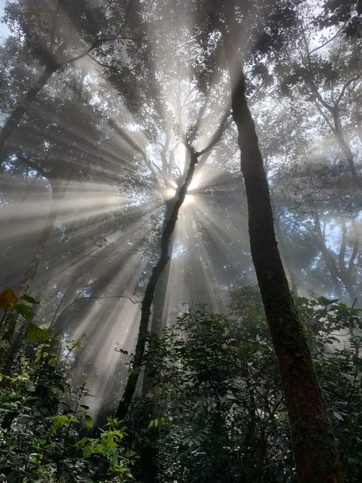 Picture 1 : Hanoi to Hoi An: A trip to Vietnam - Ba Vi National Park