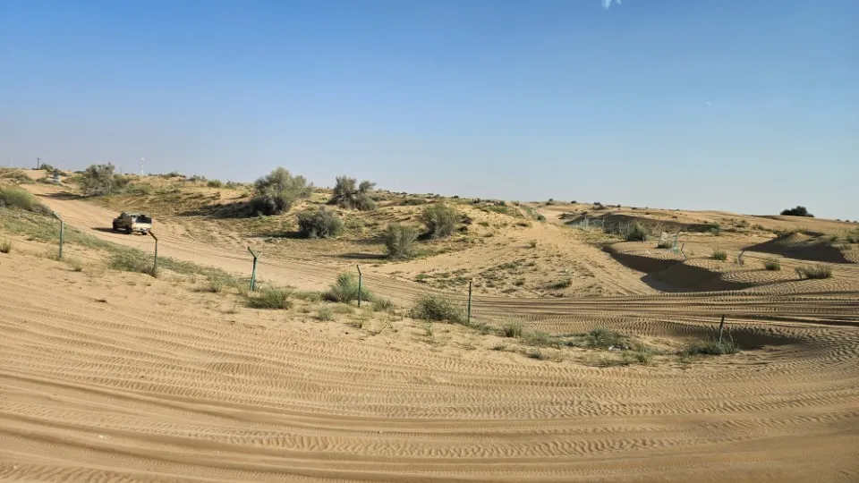 Picture 10 : UAE: Where Ancient Sands Meet Modern Skies - Dolphinarium and Desert Safari