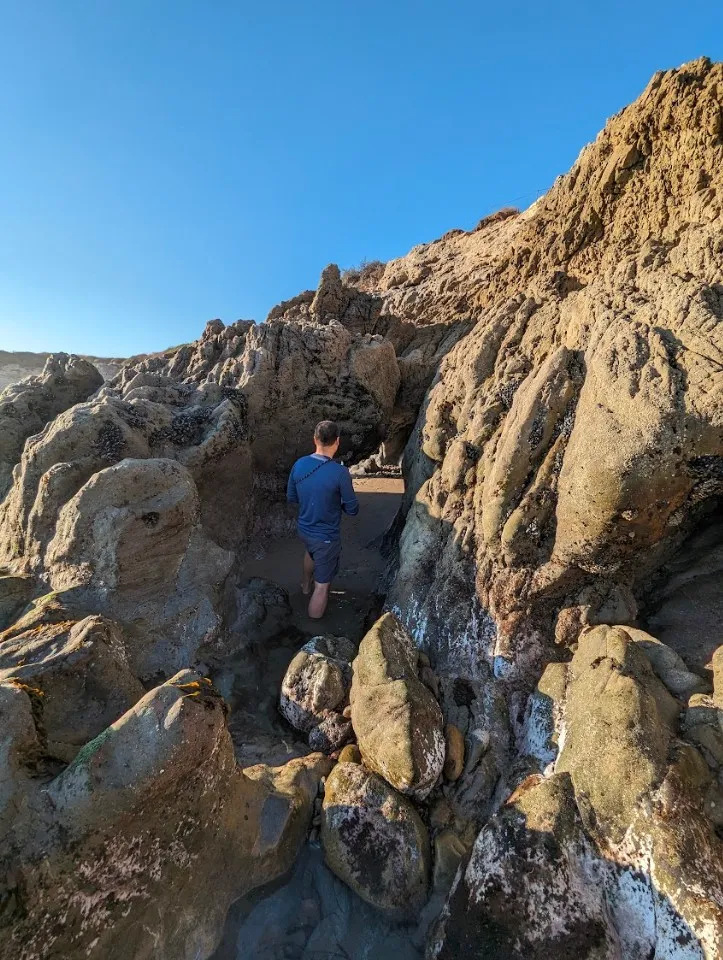 Picture 8 : Joshua Tree + SoCal - Getty Villa and Malibu Beaches