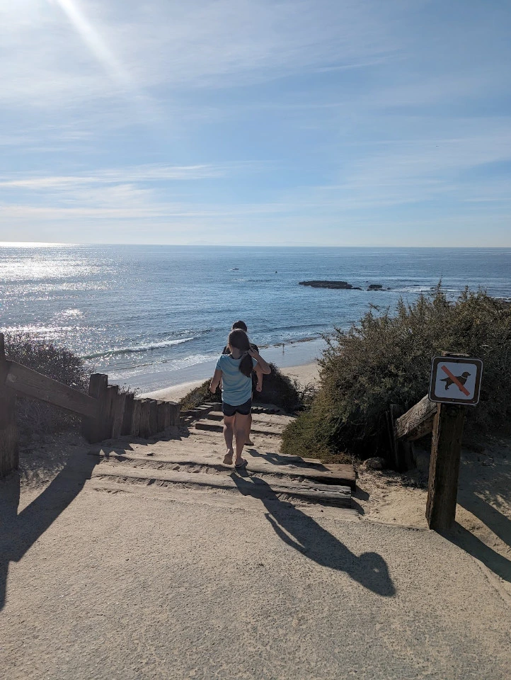 Picture 1 : Joshua Tree + SoCal - Ocean Kayaking and Exploring Tide Pools