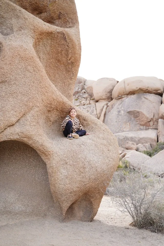 Picture 6 : Joshua Tree + SoCal - Joshua Tree National Park Hikes