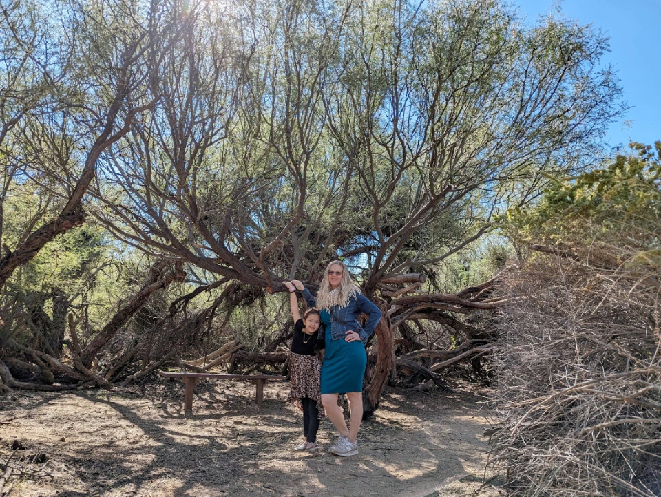 Picture 5 : Joshua Tree + SoCal - Transit Day and The Getty Museum