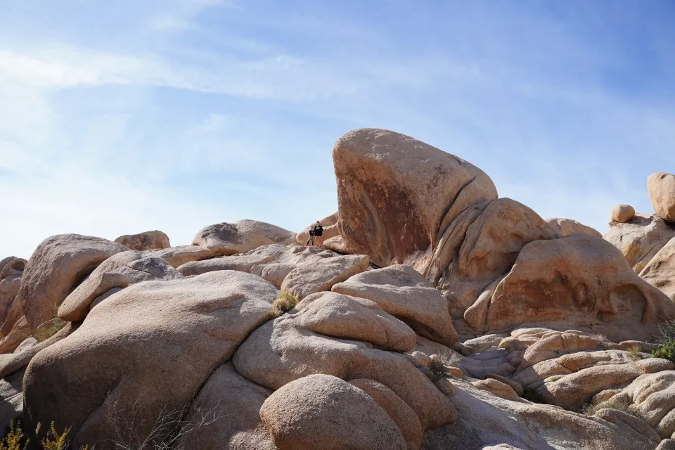 Picture 9 : Joshua Tree + SoCal - Joshua Tree National Park Hikes