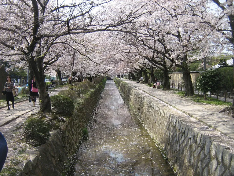 Picture 1 : 10 days - Tokyo/Kyoto - Kyoto: Northern Higashiyama