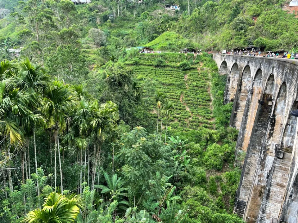 7 : Sri Lanka trip - Seetha Eliya and Ella