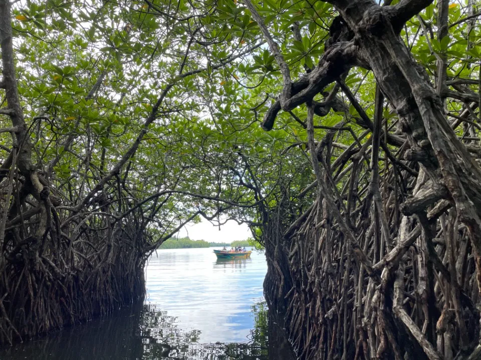 Picture 31 : Sri Lanka trip - Yala National Park, Galle and Bentota