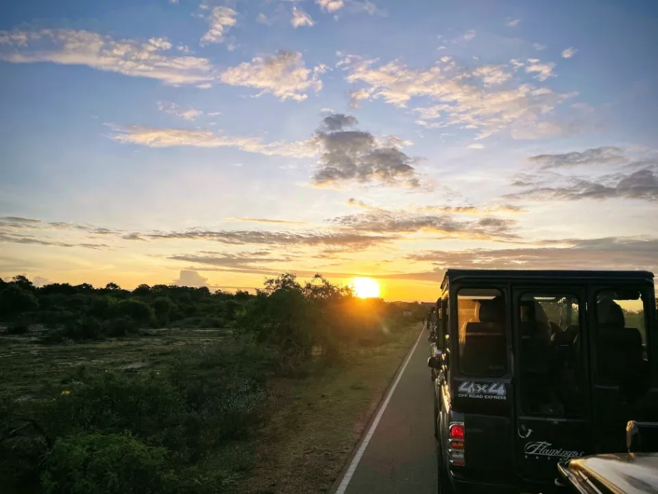 Picture 5 : Sri Lanka trip - Yala National Park, Galle and Bentota