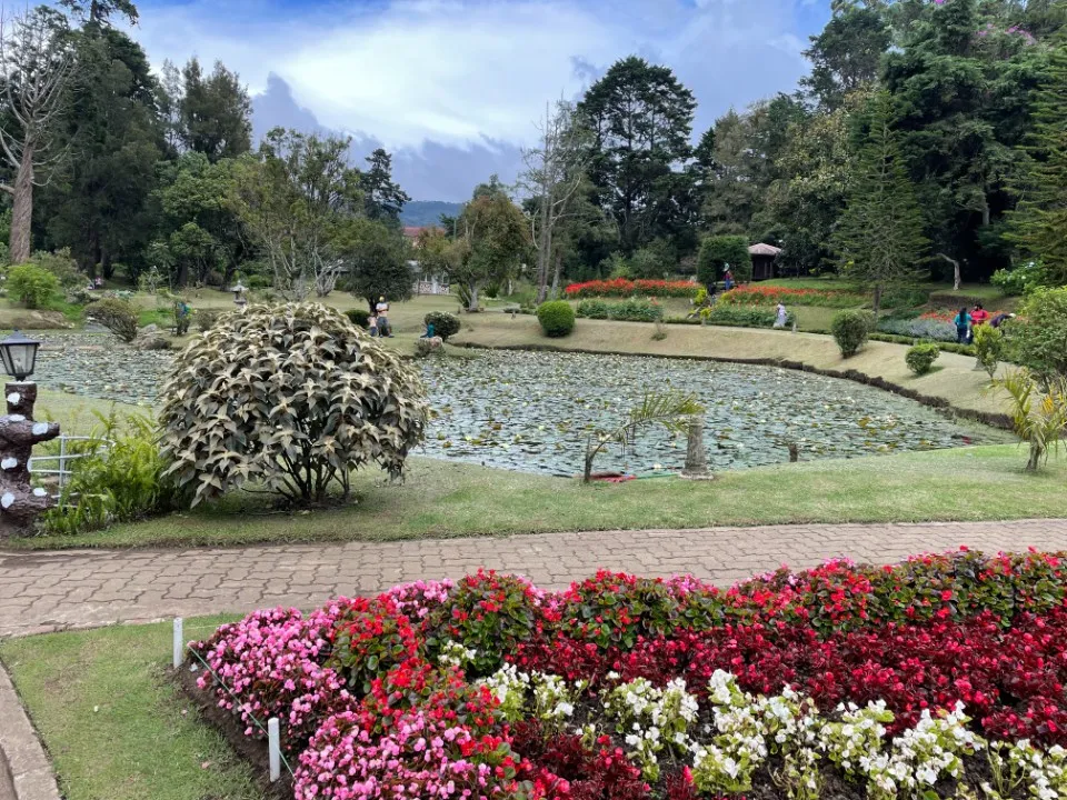 Picture 15 : Sri Lanka trip - Kandy and Nuwara Eliya