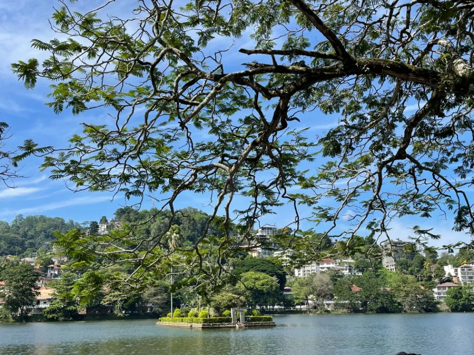 Picture 4 : Sri Lanka trip - Kandy and Nuwara Eliya